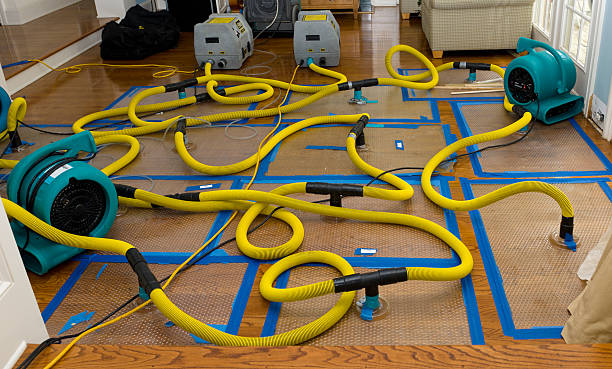 Professional Water Extraction technician working in Calera, AL
